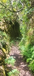 Plants: image 65 Of 208 Thumb